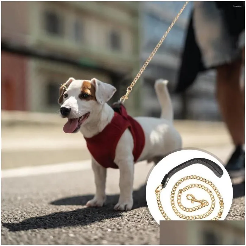 Golden Stainless Steel Dog Leash Gold Chain And Rope Set Walk And Control Metal Belt For Pet Traction Perfect For Puppies Fast Drop Delivery To Home From Drinktoppers 16.04 DHgate.Com