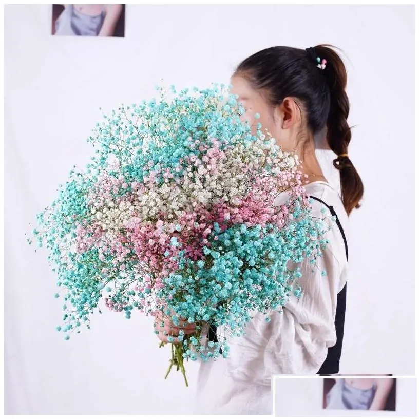 decorative flowers wreaths natural  dried preserved gypsophila panicata babys breath flower bouquets gift for wedding party d