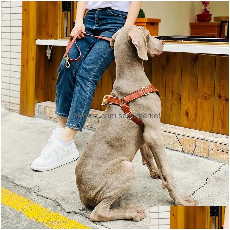 Dog Collars & Leashes Dog Collars Leashes Loudik Luxury Leather Harness And Leash Set Id Name Printed No Pl Adjustable Small Medium La Dhpmp