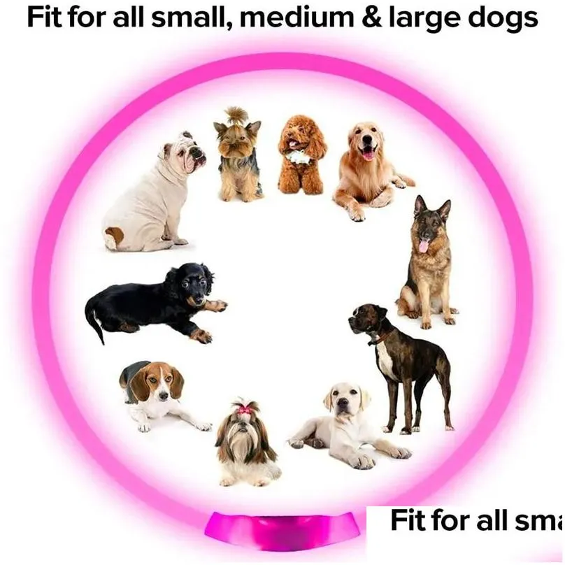 Dog Collars & Leashes Led Light Dog Collar Detachable Glowing Charging Luminous Leash For Pet Dogs Products Usb Charge Accessories Dro Dhnbo