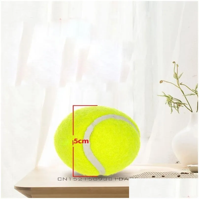 Dog Toys & Chews 6 Pcs Dog Tennis Balls Replacement Exercise Trainer Launcher Thrower Chucker Cat Bounce Sport Toy Afp Hyper Fetch Min Dhxke