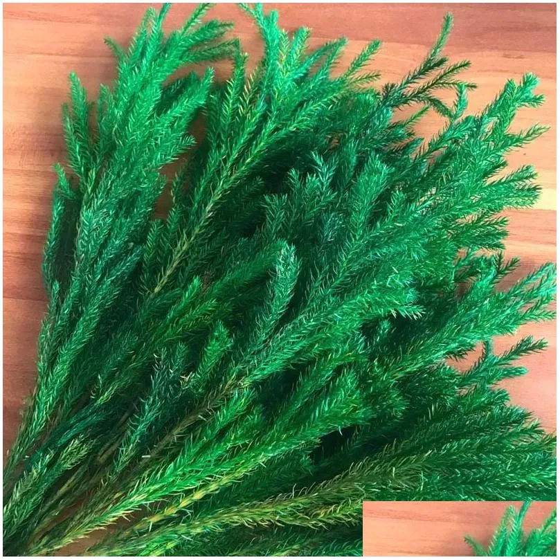 Decorative Flowers & Wreaths 20-30Cm/30G Real Dried Natural  Lycopodium Branches Decorative Club Moss Bouquet Dry Preserved Etern Dhhbu