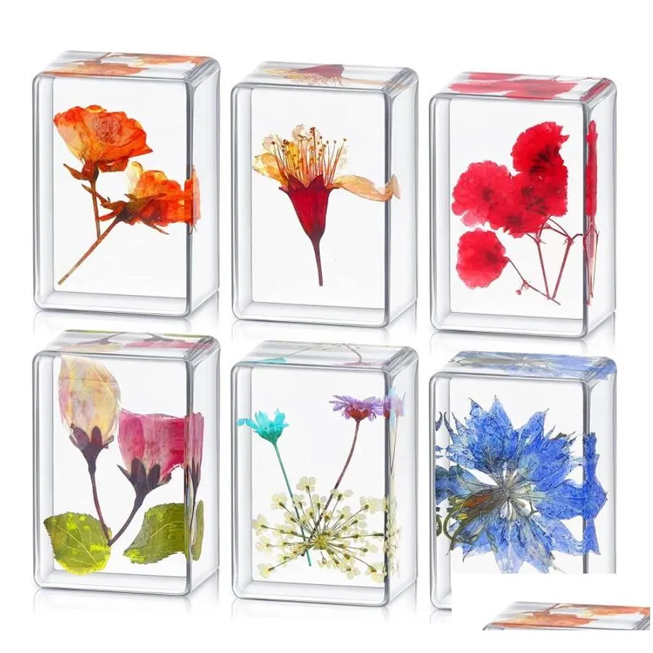 Science & Discovery Pressed Flower Paperweight Science Disery Real Flowers Specimen Collection Samples In Resin Paper Weights Cube For Dhw43