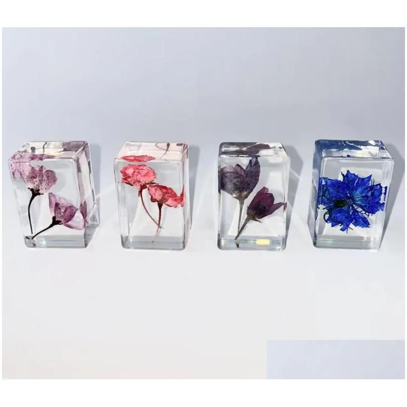 Science & Discovery Pressed Flower Paperweight Science Disery Real Flowers Specimen Collection Samples In Resin Paper Weights Cube For Dhw43