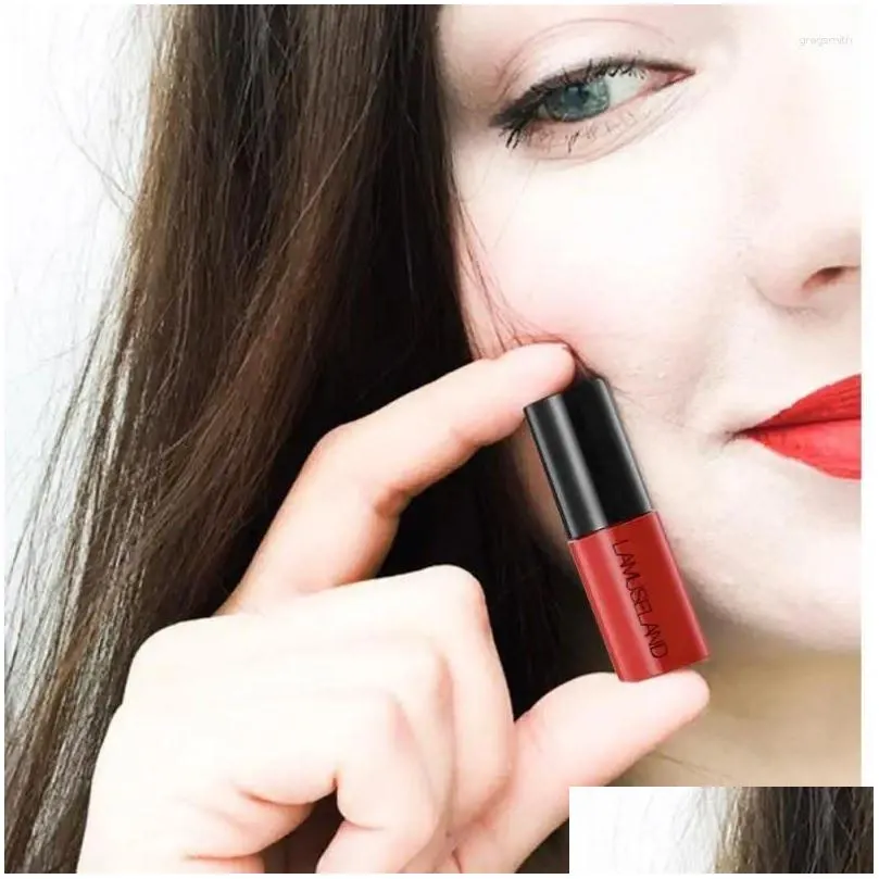 lip gloss 12 colors/set mini set matte lipstick long lasting non-stick cup cosmetics high quality holiday gift box tslm1