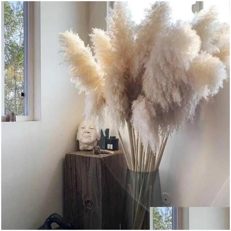 decorative flowers & wreaths large pampas grass 48