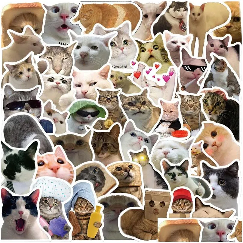 50pcs internet celebrity kitty meme sticker funny cat graffiti stickers for diy luggage laptop skateboard motorcycle bicycle stickers