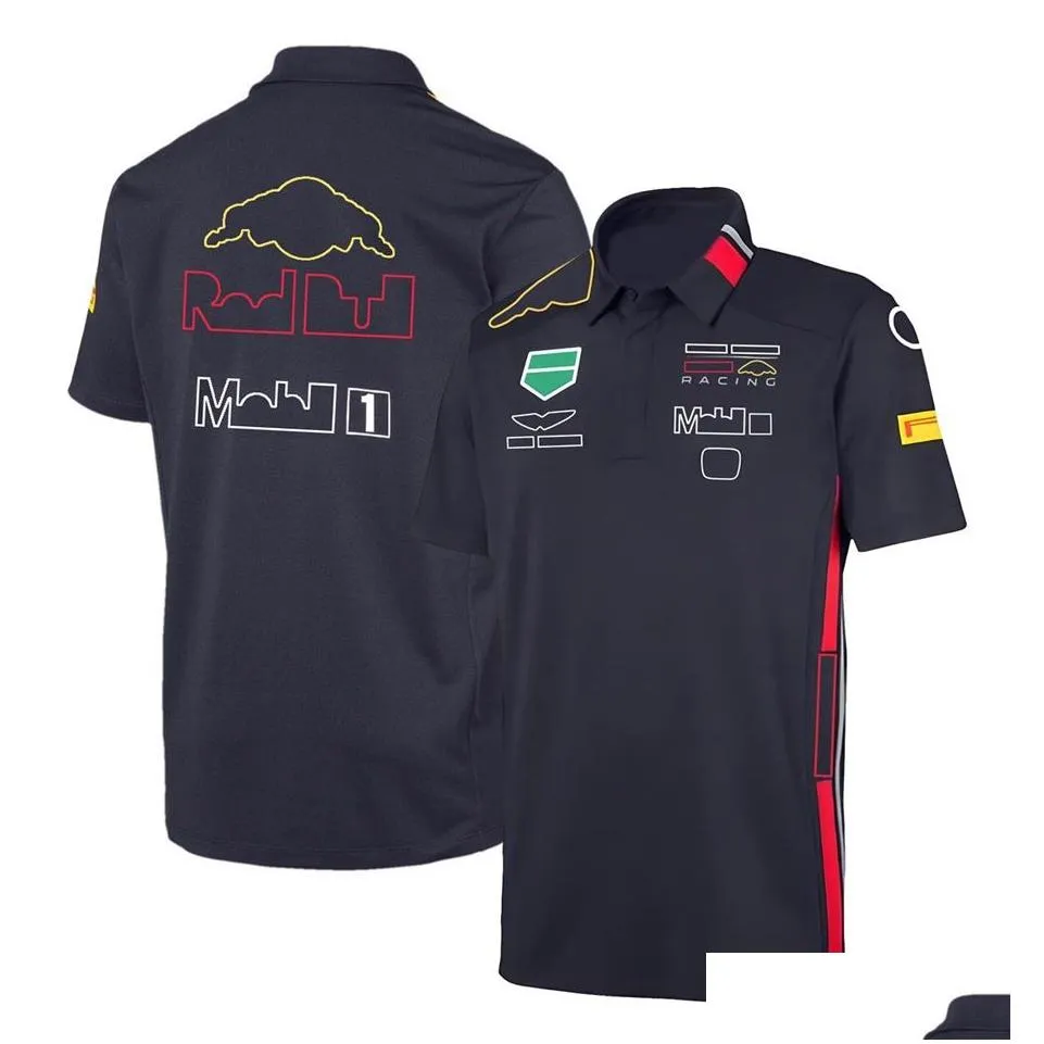 f1 t-shirt formula 1 team racing suit t-shirts long sleeve summer casual sport polo shirt men quick dry t shirt motocross jersey