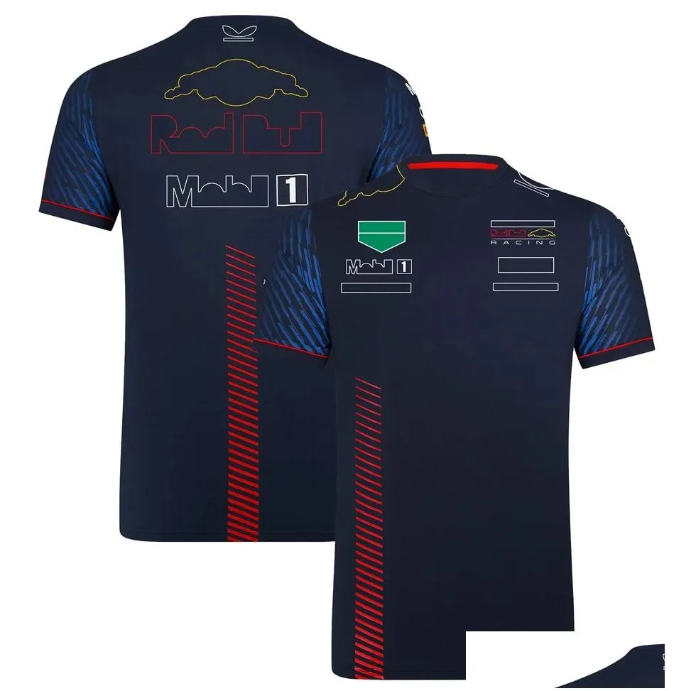 2023 f1 racing t-shirt formula 1 team polo shirt t-shirt new f1 official website world champion t-shirt car fans jersey plus size