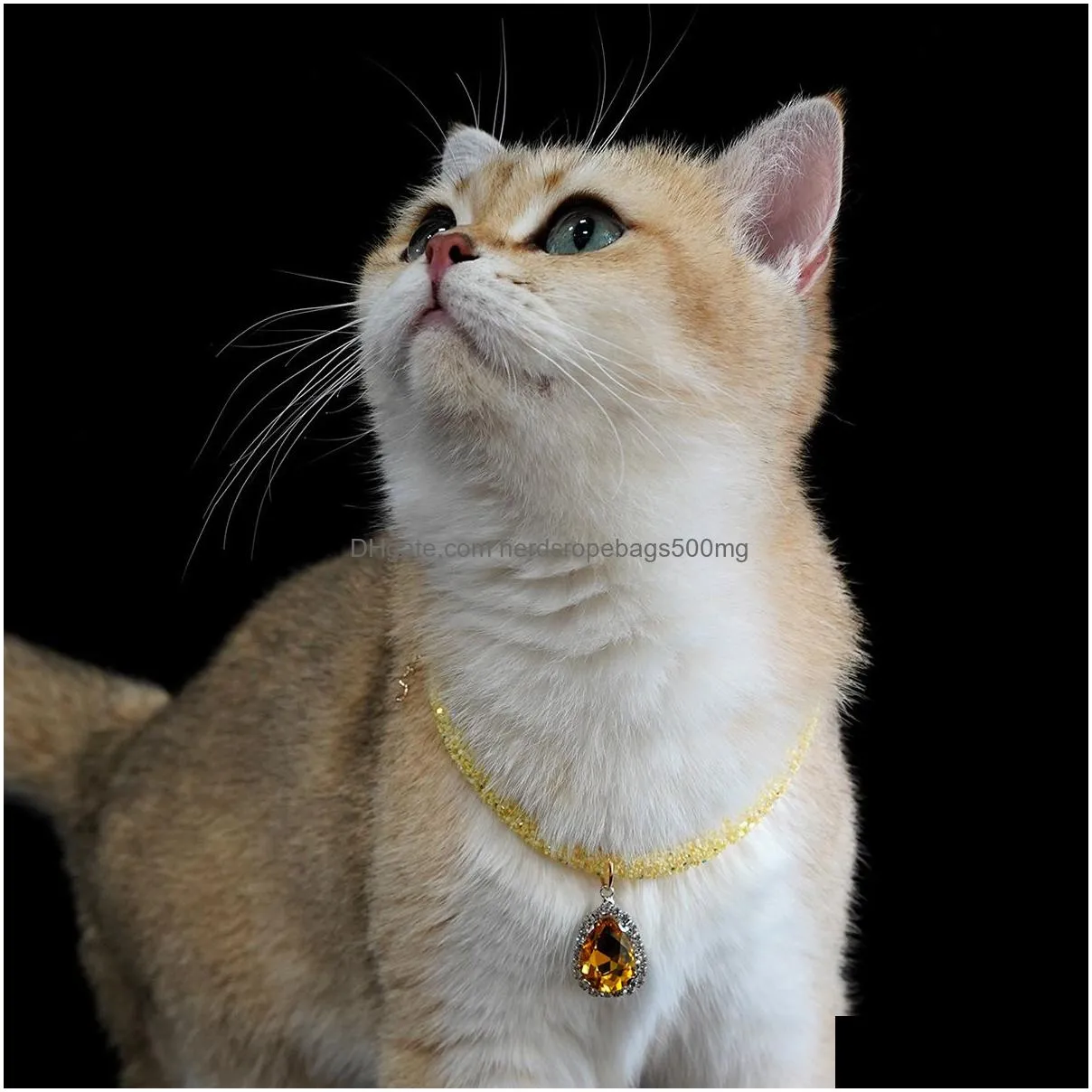 Dog Collars & Leashes Cat Necklace Pet Accessories Neck Puppet Kitten Collar 230908 Drop Delivery Home Garden Pet Supplies Dog Supplie Dh5Pv