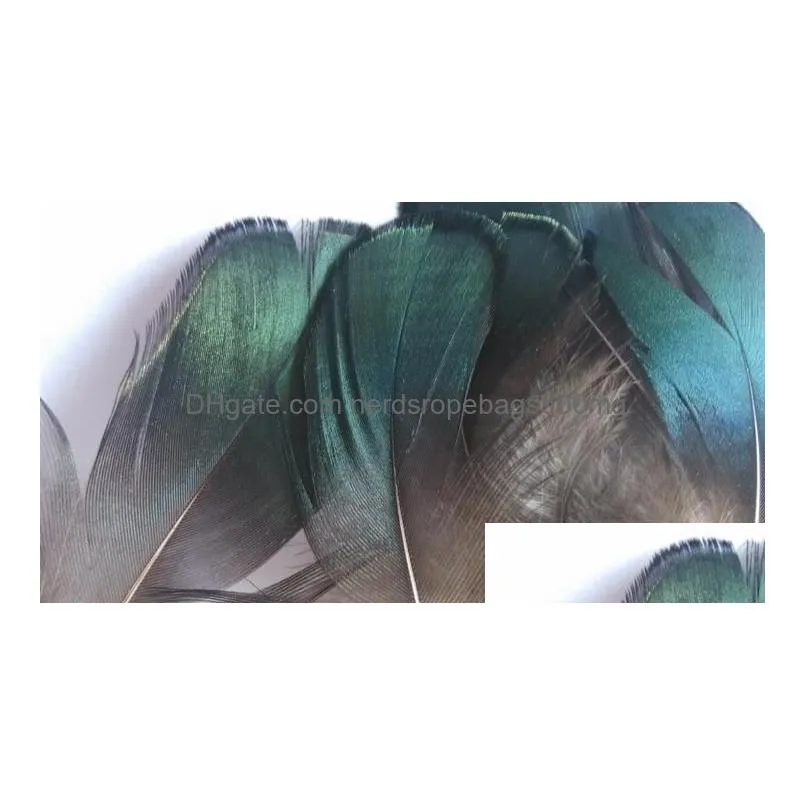 Feathers Wholesale Diy Craft Green Copper Chicken Verdigris Natural Feathers Pro Cleaning Jewelry Bag Necklace Headband 47Cm Drop Drop Dhd70