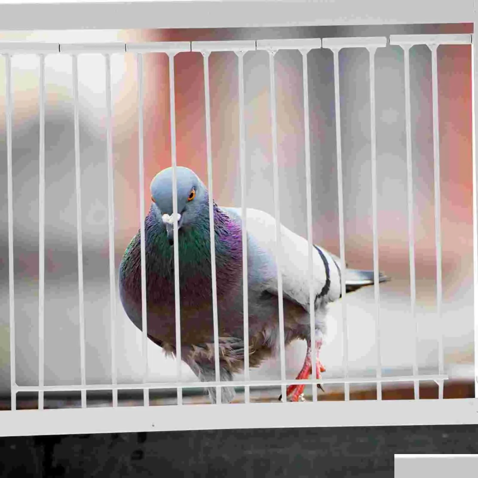 Nests Pigeon Cage Door One Way Entrance Door Bird Cages T Traps Birdcage Iron Wire Traps Door Racing Pigeon Bird Cage