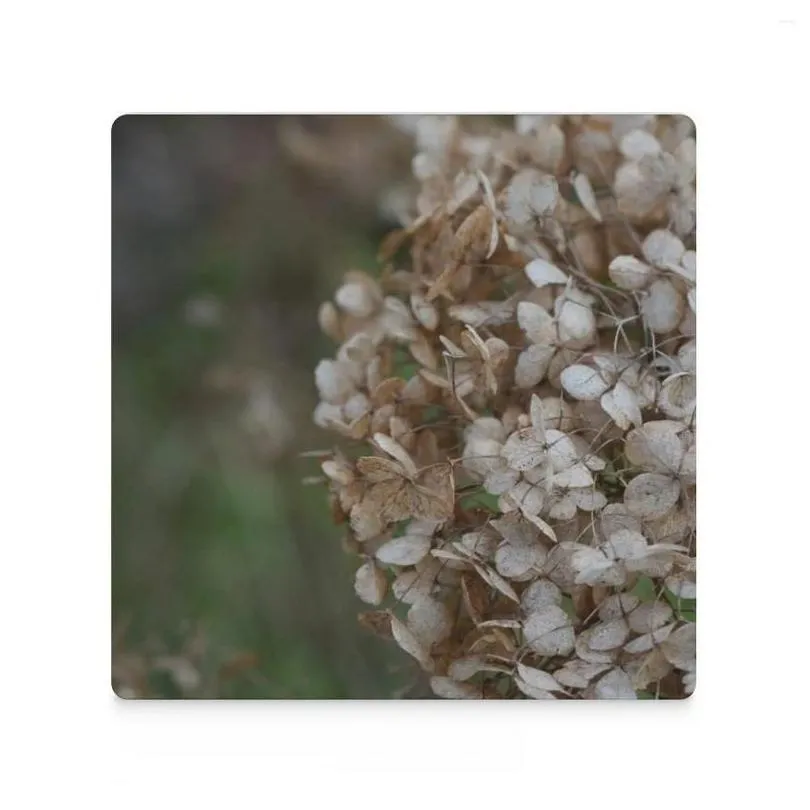 Table Mats Dried Hydrangea Flower Pography Detail Ceramic Coasters (Square) For Coffee Mugs Pot