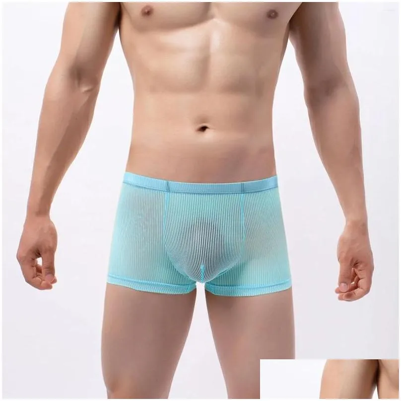 Underpants Men Underwear Sexy Ultra-Thin Transparent Mesh Breathable Briefs Male Mid-rise Panties Boxershorts Homme Lingerie