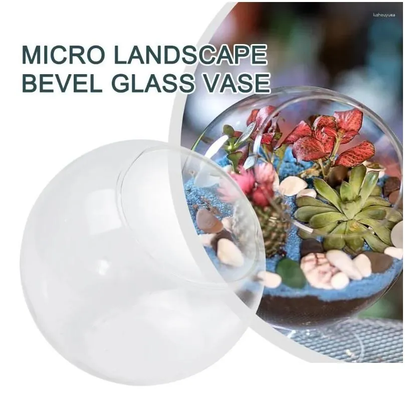 Vases Clear Glass Bauble Balls Celebration Christmas Excellent With Hole Flower Hanging Landscape 8/10/12cm Superior