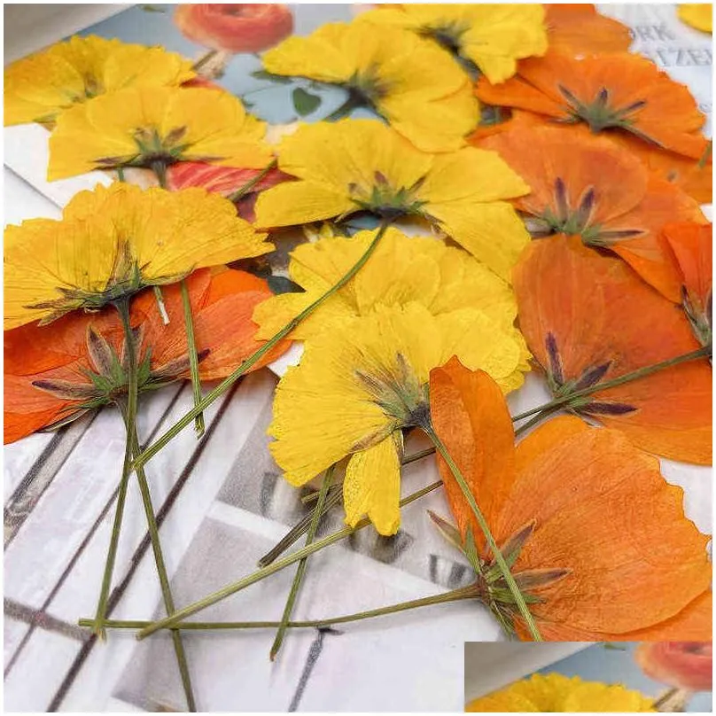 Faux Floral Greenery 12Pcs Dried Flowers Chrysant Natural Pressed Plants For Epoxy Resin Pendant Jewelry Making Craft Diy Nail Art Dh5Ip