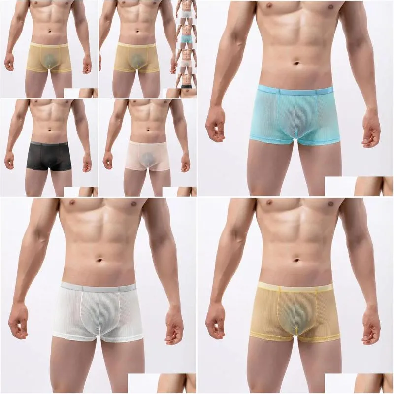 Underpants Men Underwear Sexy Ultra-Thin Transparent Mesh Breathable Briefs Male Mid-rise Panties Boxershorts Homme Lingerie