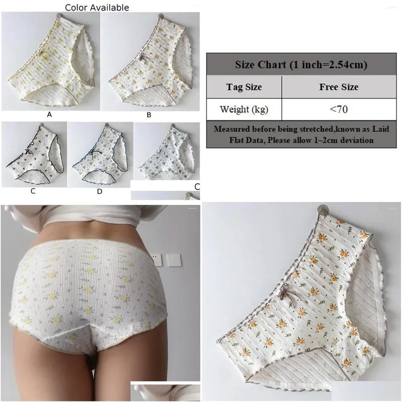 Underpants Man Clothes Underwear Daily Holiday Slight Stretch Low Rise Pants Pouch Panties Sexy Sissy Briefs For