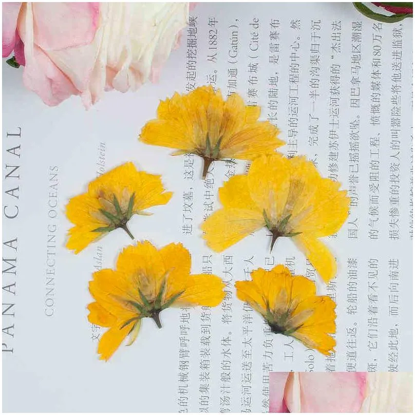 Faux Floral Greenery 12Pcs Dried Flowers Chrysant Natural Pressed Plants For Epoxy Resin Pendant Jewelry Making Craft Diy Nail Art Dh5Ip