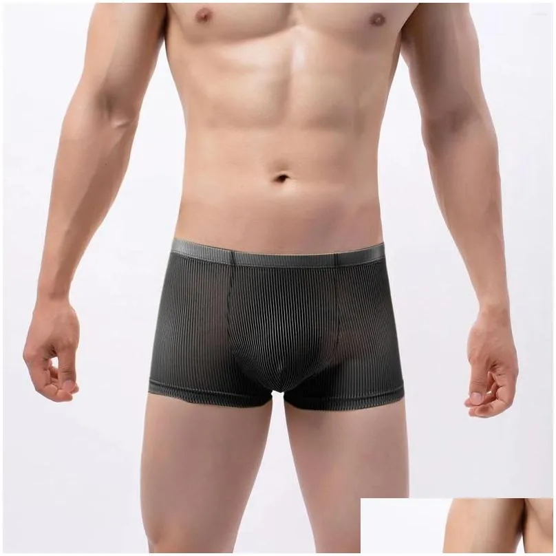 Underpants Men Underwear Sexy Ultra-Thin Transparent Mesh Breathable Briefs Male Mid-rise Panties Boxershorts Homme Lingerie