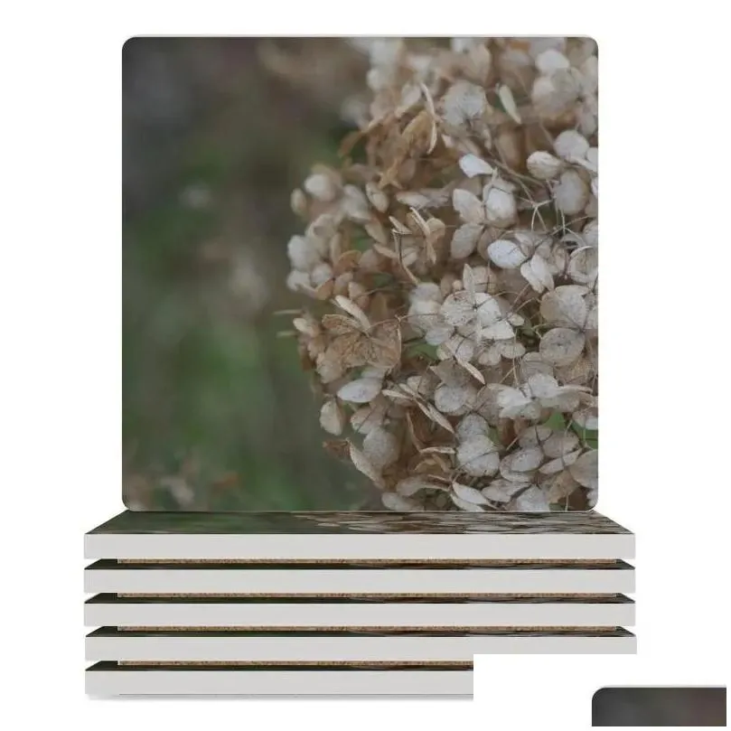 Table Mats Dried Hydrangea Flower Pography Detail Ceramic Coasters (Square) For Coffee Mugs Pot