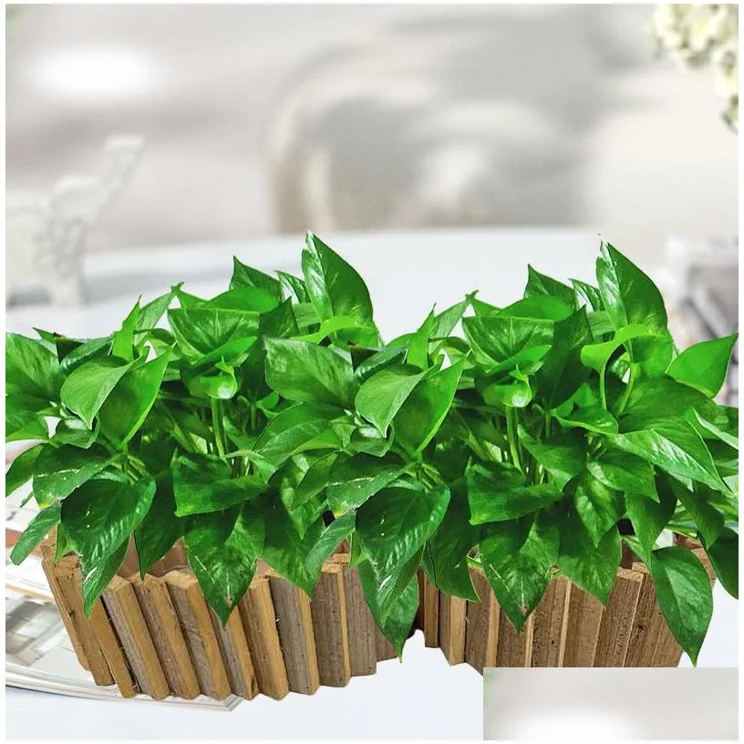 Planters Pots Anticorrosive Wood Flower Box Carbonized Solid Flowerpot Garden Project High-Quality Rectangar Outdoor Planting Drop Otsyb