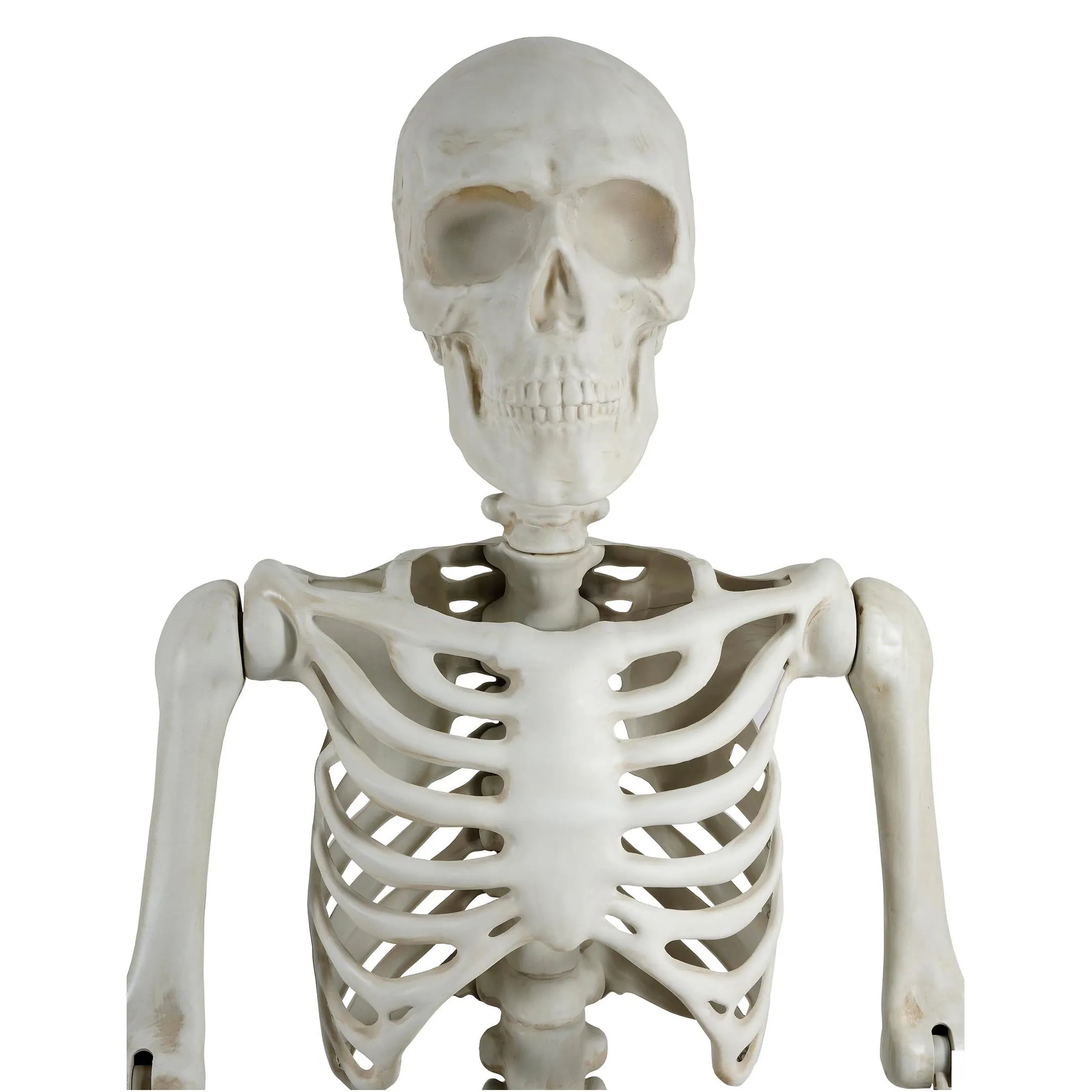 Arts And Crafts Halloween Nt Poseable Skeleton Decoration Bone Color 10 Ft By Way To Celebrate Drop Delivery Home Garden Gifts Ot5Xe