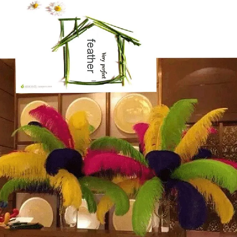 Decorative Flowers Ostrich Feather 1 Pack/100 Pcs 15-20cm Festival Feathers Wedding Decoration Party Table Decor Feather Craft Supplies Pluma De Decoracion De