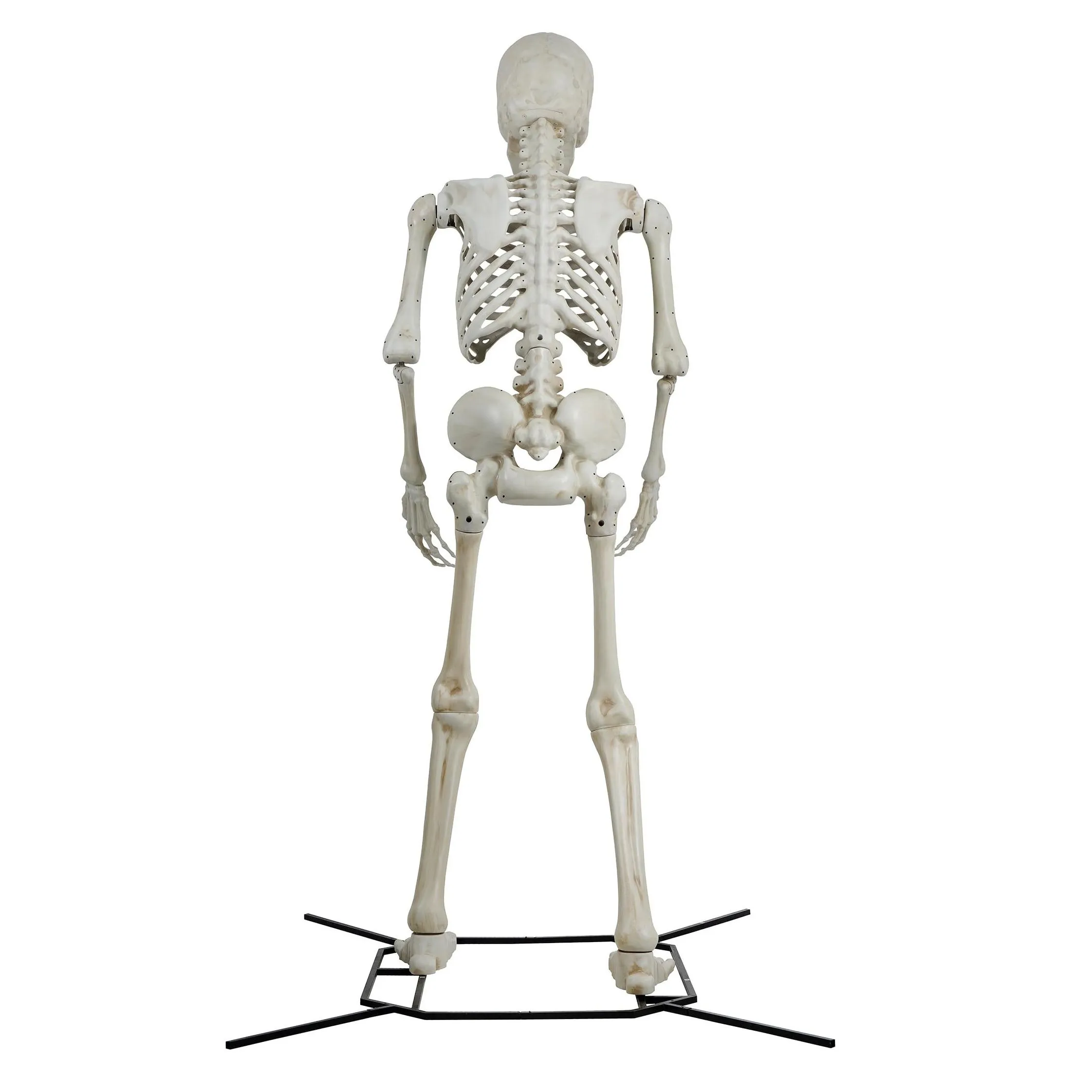 Arts And Crafts Halloween Nt Poseable Skeleton Decoration Bone Color 10 Ft By Way To Celebrate Drop Delivery Home Garden Gifts Ot5Xe