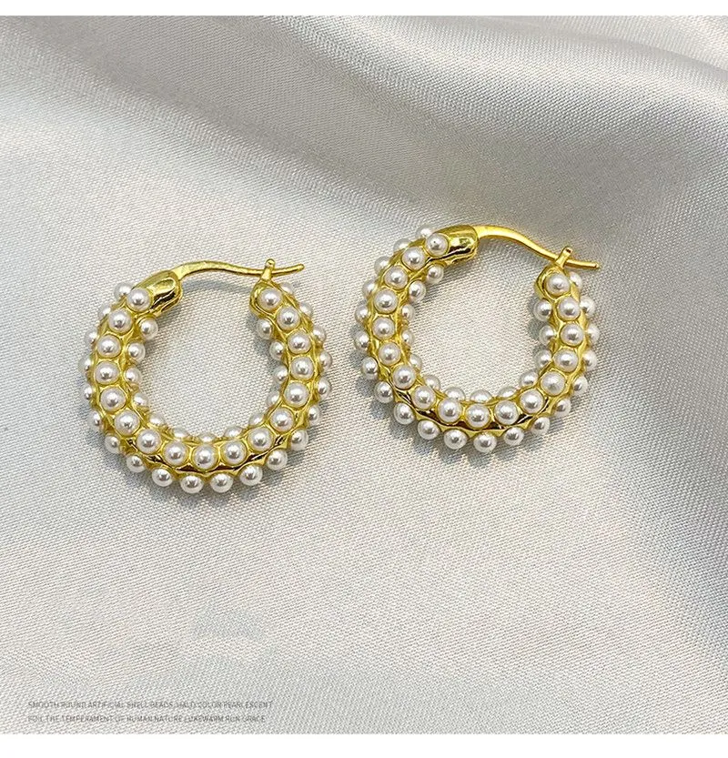 Retro Fashion Wild Pearl Earrings Stud High-End Gold-Plated Winter Models Trend Niche Design Ins Jewelry Accessories