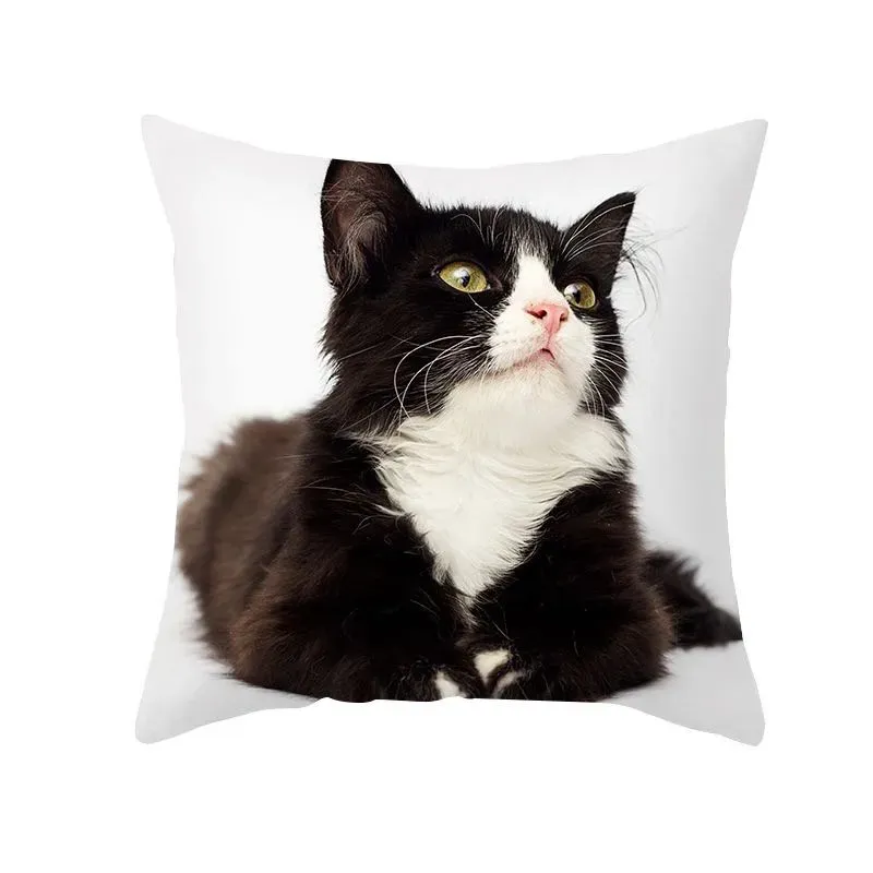 45 x45cm European luxury velvet cushion chair of sofa cover black cat white printing for home decoration square pillow 16 colors