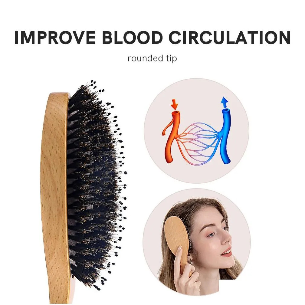 Hair Brushes Miss Sally Wooden Brush AntiStatic Scalp Massage Comb with Boar Bristle Air Cushion for Women Men Wet and Dry