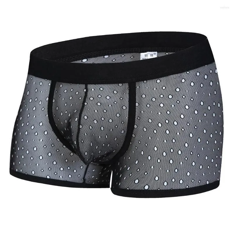 Underpants Men Sexy Lingerie See-through Hollow Shorts U Convex Pouch Boxer Briefs Mesh Trunks Underwear Panties