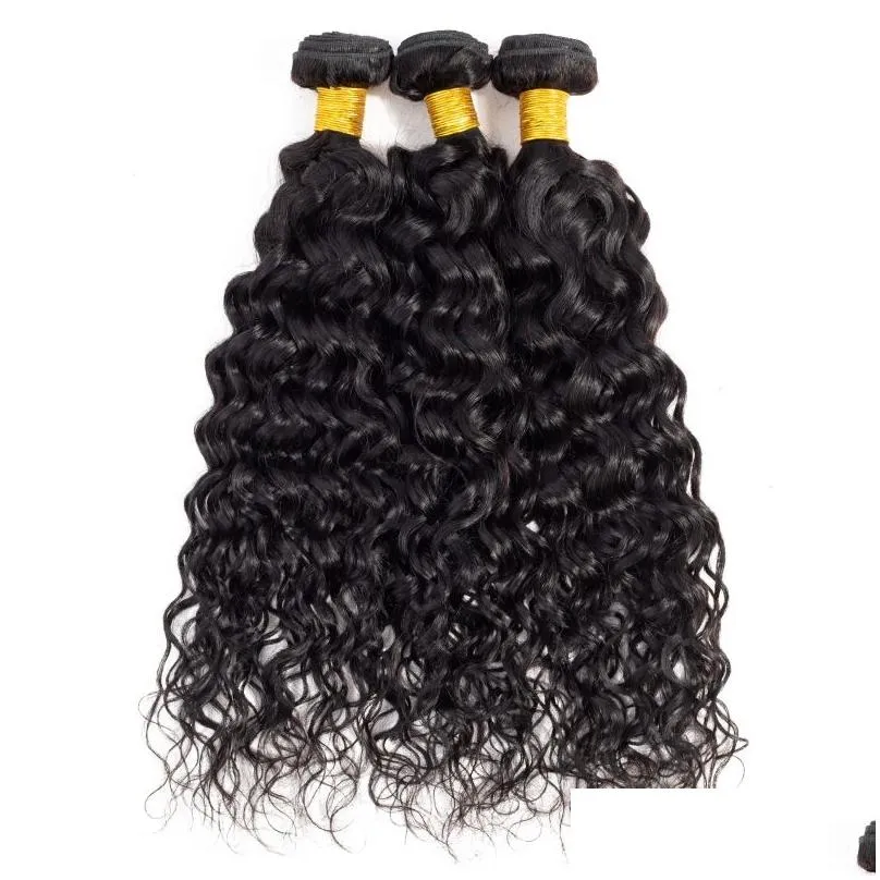 9A Peruvian Water Wave Hair With Closure 3 Bundles With Closure Human Hair Peruvian Wet And Wavy Hair With 4X4 Closure Wavy269g1269401