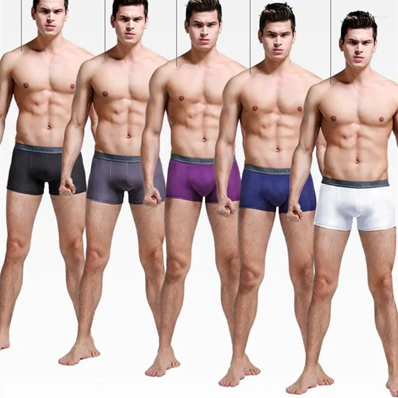 Underpants Modal Men`s Underwear Medium Rise Breathable Sweat Absorbing Boxer