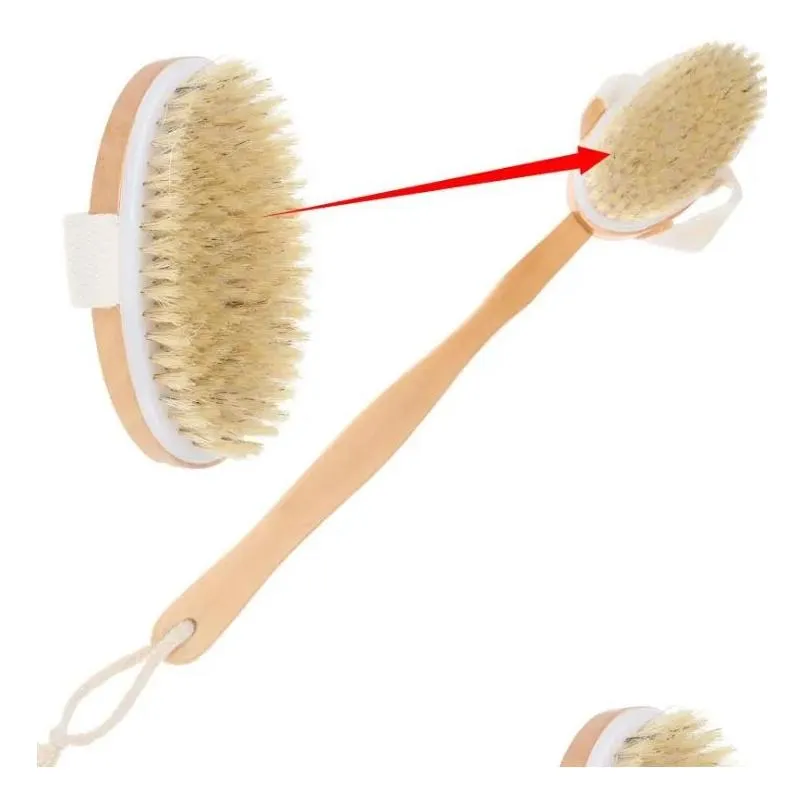 Bath Brushes, Sponges & Scrubbers Long Detachable Brush Dry Skin Body Non-Slip Handle 100% Natural Bristle Shower Blood Circation Exfo Dhzhi