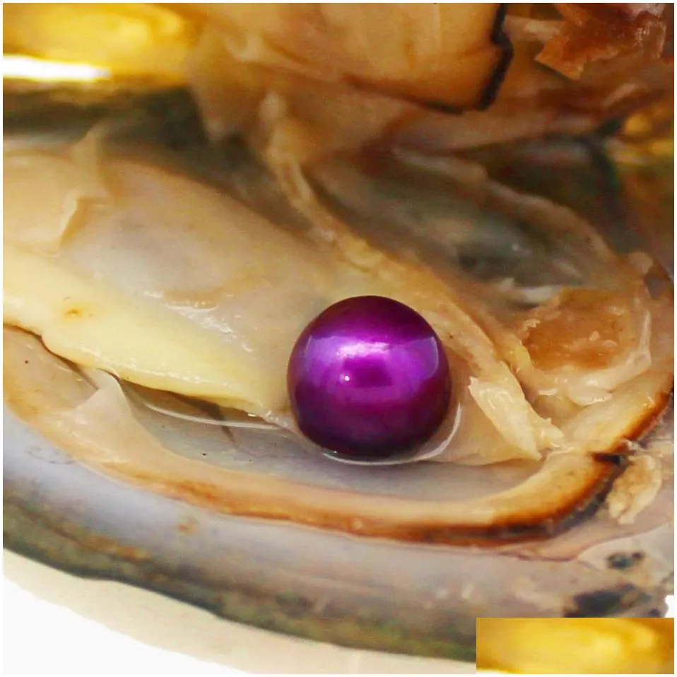 Wholesale vacuum packaged freshwater pearl oysters, pearl color 18# purple, a total of 28 colors (free shipping)