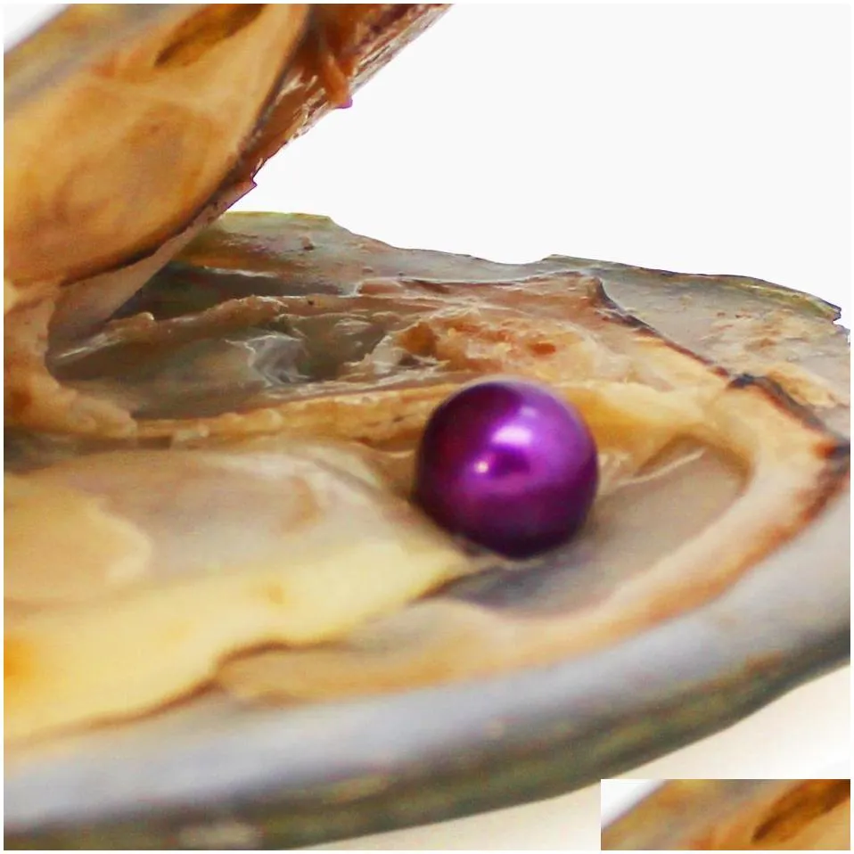 Wholesale vacuum packaged freshwater pearl oysters, pearl color 18# purple, a total of 28 colors (free shipping)