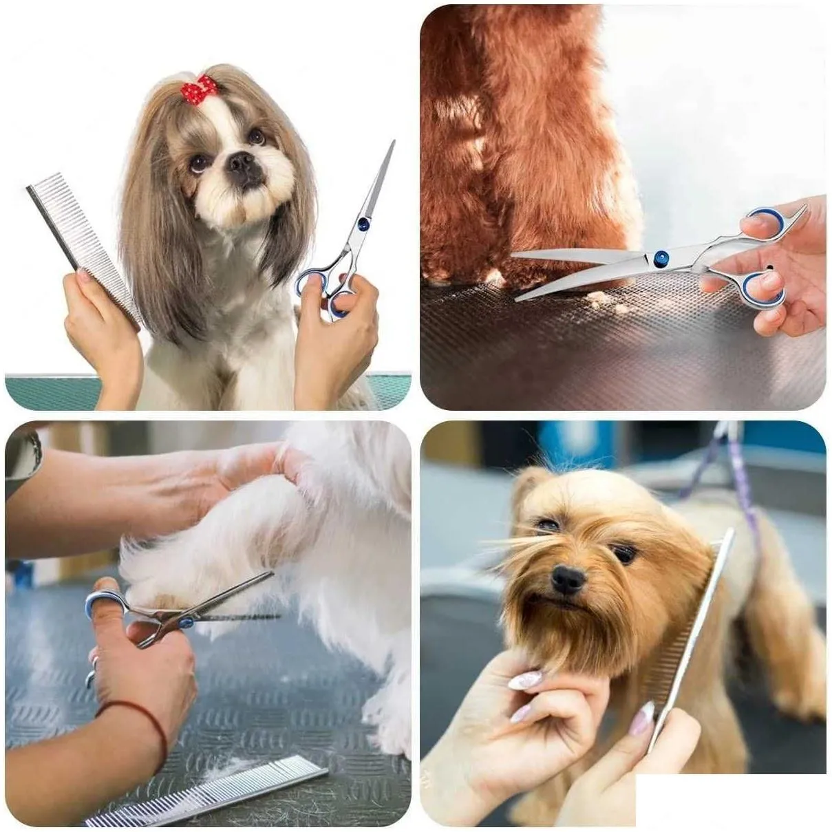 new 5pcs/set stainless steel pet dogs grooming scissors suit hairdresser scissors for dogs professional animal barber cutting tools