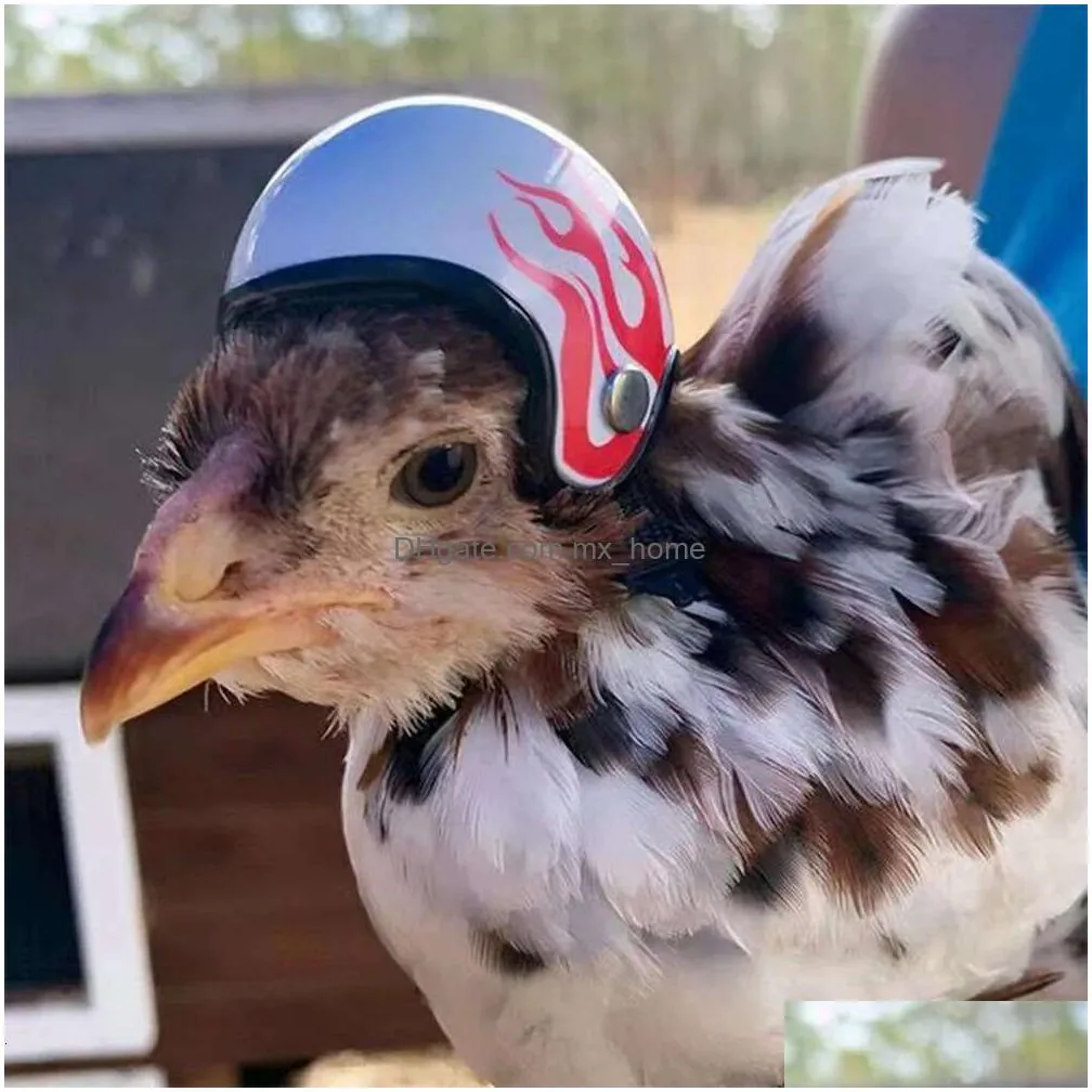 1pc chicken helmet small pet hard hat bird quail pigeon hat headgear pet bird helmet diy cartoon character helmet pet supplies