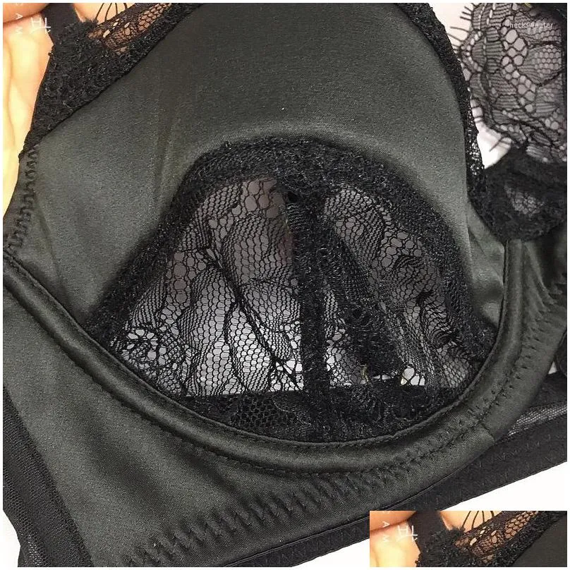 bras sets sexy lace satin stitching lingerie for women perspective temptation thinlarge eyelash push up bra set ladies underwear panty