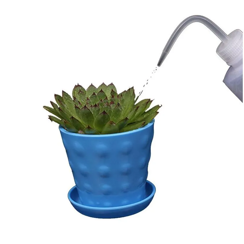 wholesale 250ml meaty watering pot squeeze bottles with long nozzle garden tools succulents plant flower special watering bottle water beak pouring