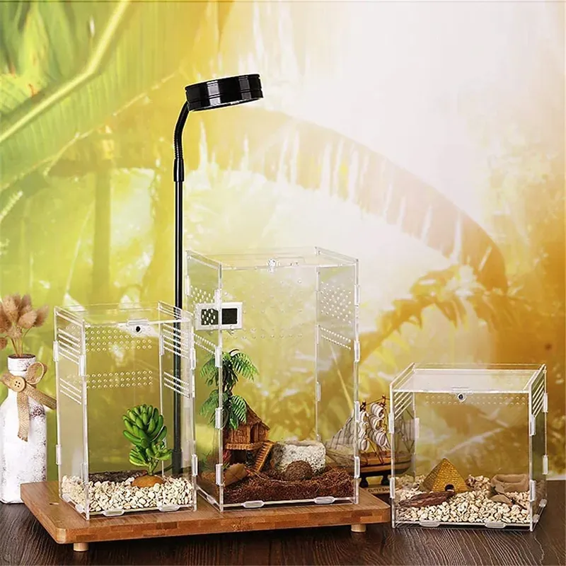 Tarantula Box LL Reptile Terrariums Acrylic Breeding Box For... From ...