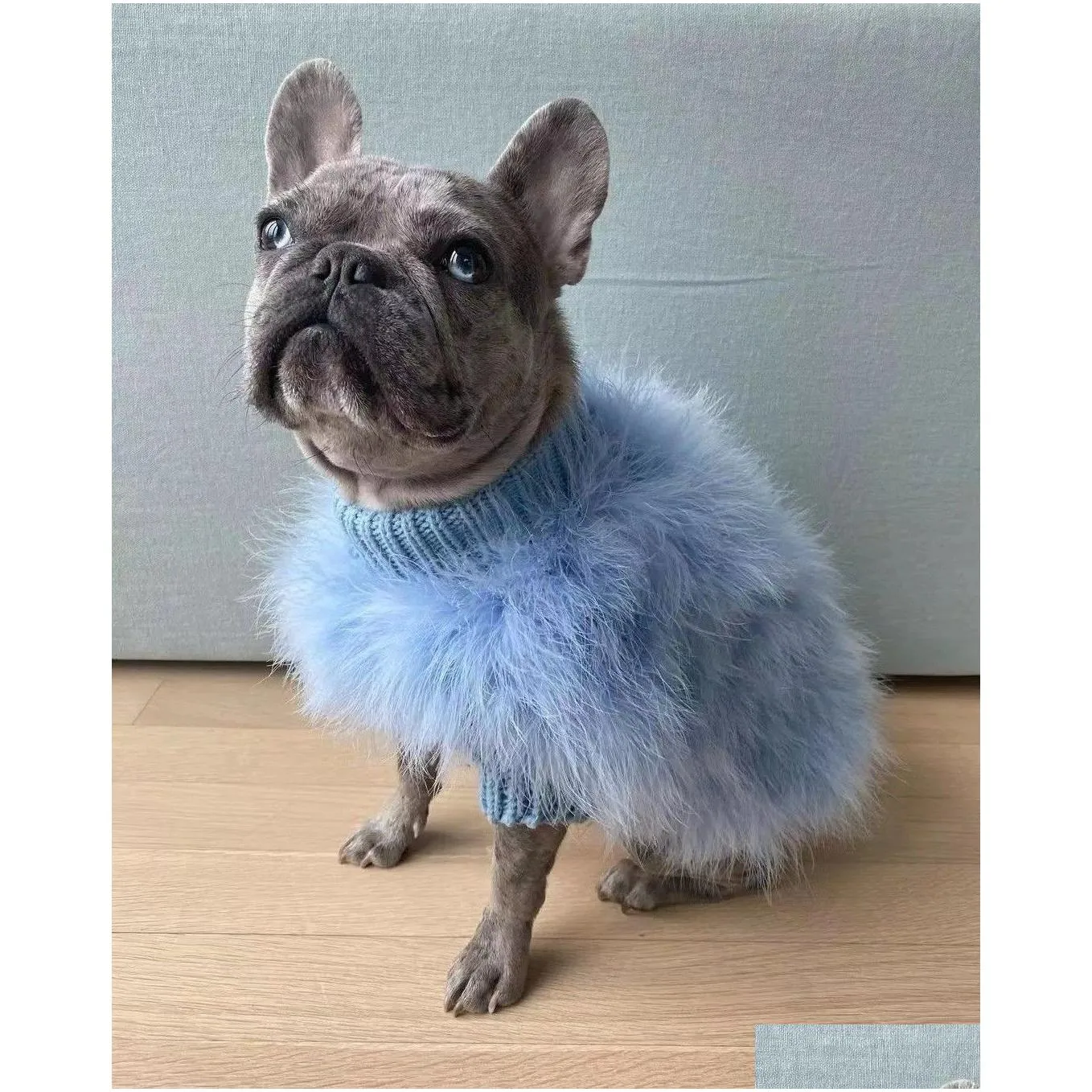 Pet fashion brand cat and dog clothes
