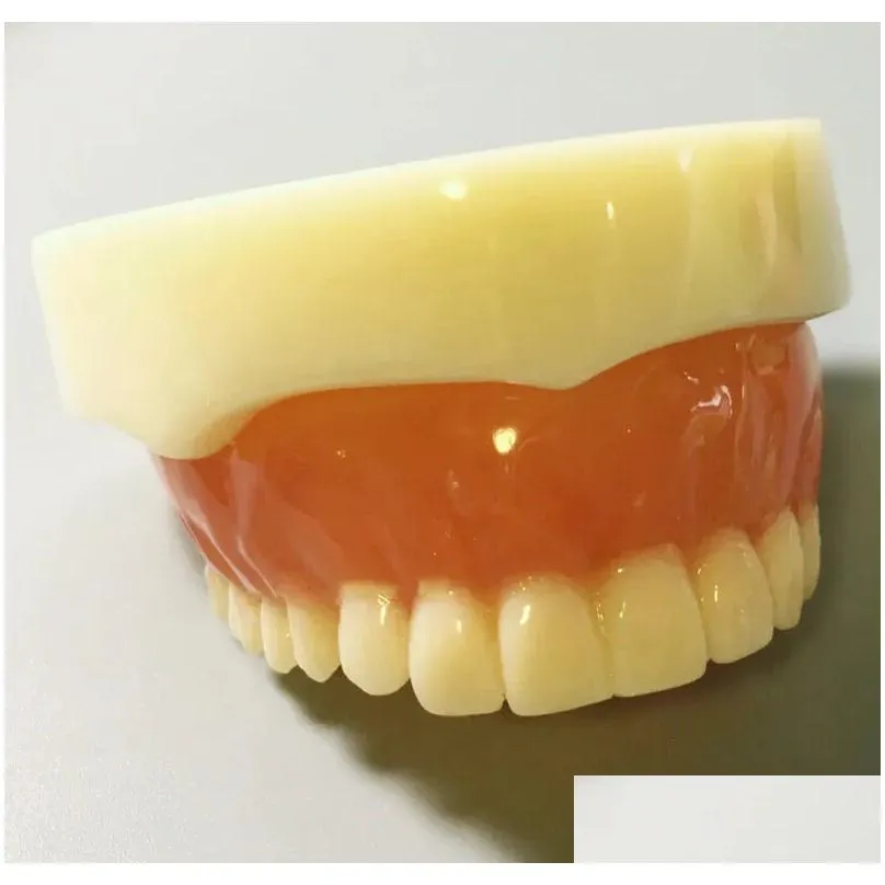 Other Oral Hygiene Dental Model Full Denture Magnetic UpperLower Attachment Study Mandibular 230919