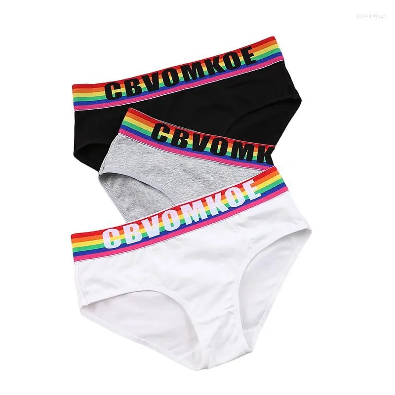 Panties Rainbow Cotton Boxer Briefs for Womens Trans Lesbian Tomboy LGBT Knickers Underwear Women Lingerie