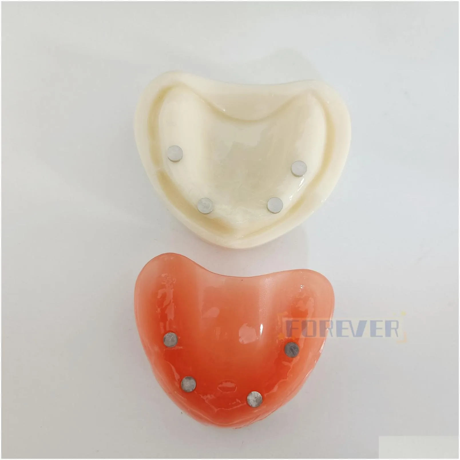 Other Oral Hygiene Dental Model Full Denture Magnetic UpperLower Attachment Study Mandibular 230919