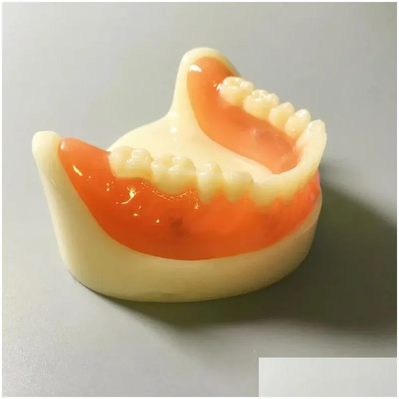 Other Oral Hygiene Dental Model Full Denture Magnetic UpperLower Attachment Study Mandibular 230919