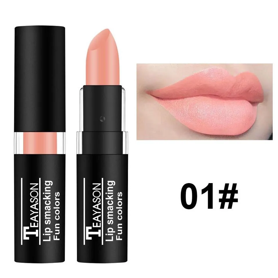 Lipstick Waterproof Matte Liquid Moisturizer Purple Lipsticks Long-lasting Sexy Red Black Lip Gloss Makeup Tools Wholesale