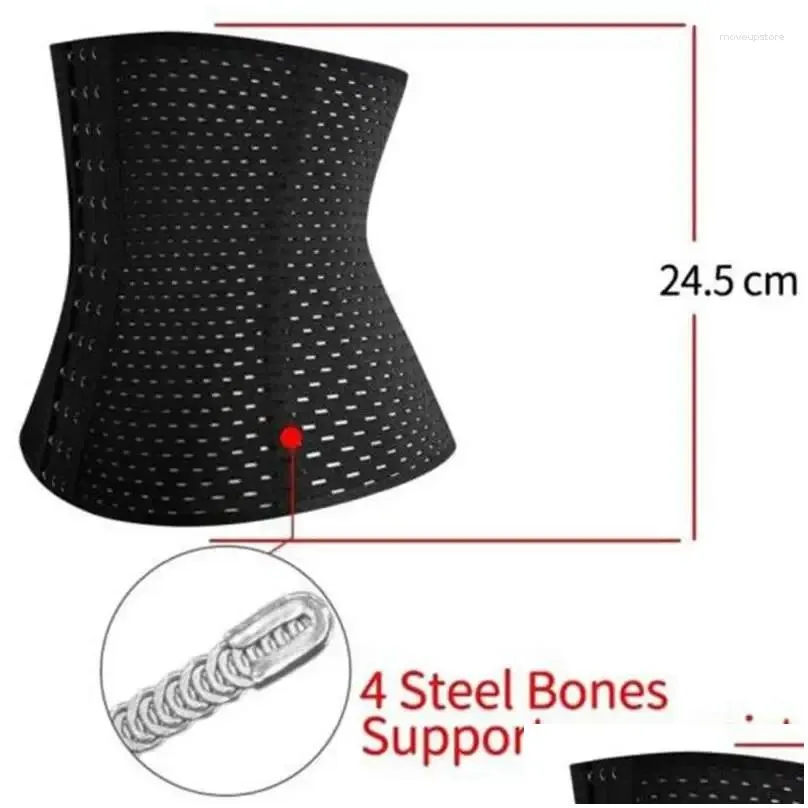 Waist Support Trainer Belt Cincher Trimmer Ab Postpartum Breathable And Comfortable Body Shaper For Women